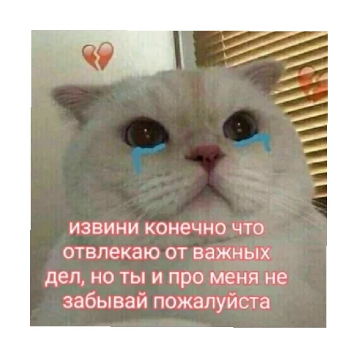😭 Стикер «For every occasion 4» для Telegram