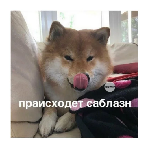 👀 Стикер «For every occasion 4» для Telegram