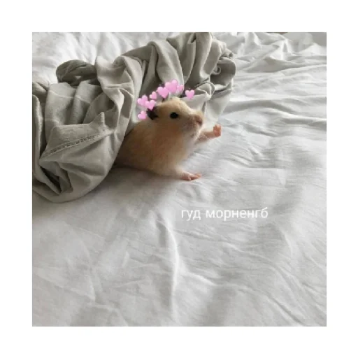 🥰 Стикер «For every occasion 4» для Telegram