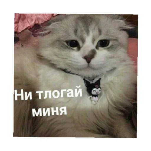 😢 Стикер «For every occasion 4» для Telegram