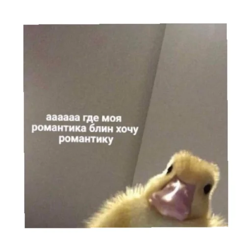 😠 Стикер «For every occasion 4» для Telegram