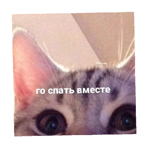 😴 Стикер «For every occasion 4» для Telegram
