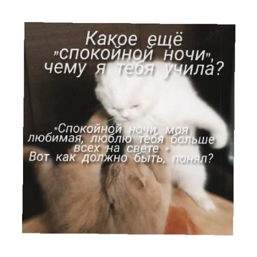 😡 Стикер «For every occasion 4» для Telegram