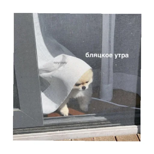 😒 Стикер «For every occasion 4» для Telegram