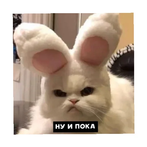 😒 Стикер «For every occasion 4» для Telegram