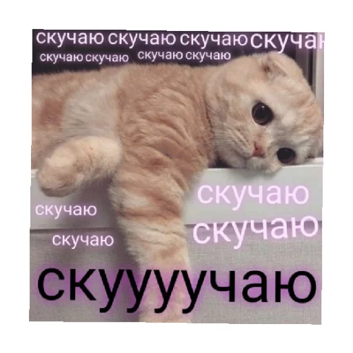🥺 Стикер «For every occasion 4» для Telegram