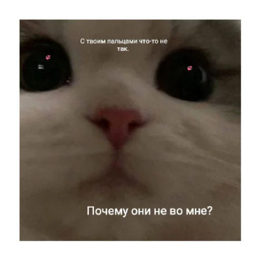 Стикерпак For every occasion 4 для Telegram — скачать