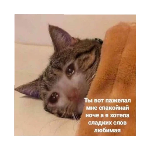 😭 Стикер «For every occasion 4» для Telegram