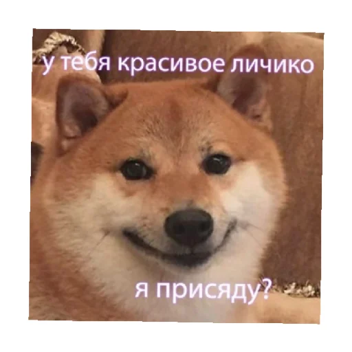 😏 Стикер «For every occasion 4» для Telegram