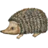 🦔 Эмодзи «Лесной домик» для Telegram