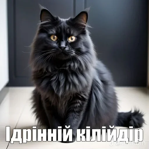 ⭐ Стикер «Семья пипидастра» для Telegram