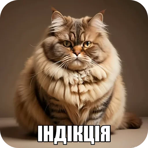 👍 Стикер «Семья пипидастра» для Telegram