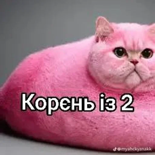 ⭐ Стикер «Семья пипидастра» для Telegram