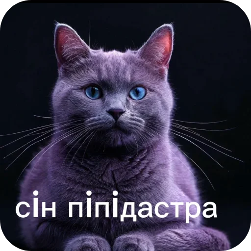 👍 Стикер «Семья пипидастра» для Telegram