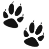🦊 Эмодзи «𝕄𝕚𝕜𝕚 𝔽𝕠𝕩» для Telegram