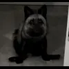 😕 Эмодзи «Foxes» для Telegram