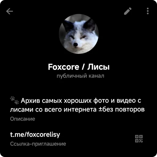 😀 Стикер «Foxes» для Telegram