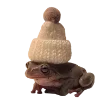 🐸 Эмодзи «Frogs» для Telegram