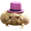 🐸 Эмодзи «Frogs» для Telegram