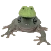 🐸 Эмодзи «Frogs» для Telegram