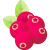 🫐 Эмодзи «Fruits Emoji» для Telegram
