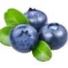 🫐 Эмодзи «🍉 Фрукты - Fruit emoji для любителей пп» для Telegram