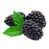 🫐 Эмодзи «🍉 Фрукты - Fruit emoji для любителей пп» для Telegram