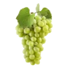 🍇 Эмодзи «🍉 Фрукты - Fruit emoji для любителей пп» для Telegram