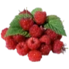 🍓 Эмодзи «🍉 Фрукты - Fruit emoji для любителей пп» для Telegram