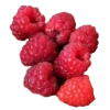 🍓 Эмодзи «🍉 Фрукты - Fruit emoji для любителей пп» для Telegram