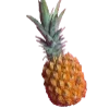 🍍 Эмодзи «🍉 Фрукты - Fruit emoji для любителей пп» для Telegram