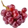 🍇 Эмодзи «𝐸𝑥𝑜𝑡𝑖𝑐 𝑓𝑟𝑢𝑖𝑡𝑠» для Telegram