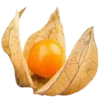 🍊 Эмодзи «𝐸𝑥𝑜𝑡𝑖𝑐 𝑓𝑟𝑢𝑖𝑡𝑠» для Telegram