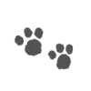 🐾 Эмодзи «🩷 Набор эмоджи с пушистыми котиками» для Telegram