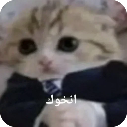 🫥 Стикер «GHcore⋆˙⟡» для Telegram