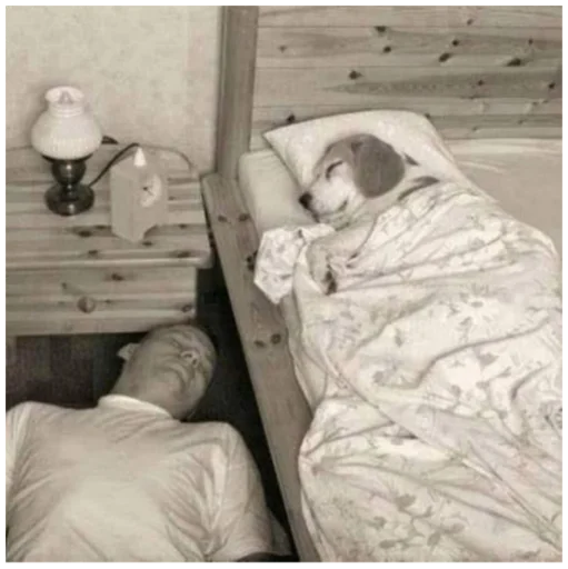 😴 Стикер «Zdorou» для Telegram