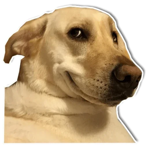 😏 Стикер «Zdorou» для Telegram
