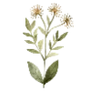 🌷 Эмодзи «Garden Tales» для Telegram