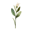 🌷 Эмодзи «Garden Tales» для Telegram