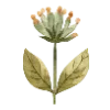 🌷 Эмодзи «Garden Tales» для Telegram