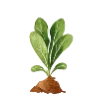 🌱 Эмодзи «Garden Tales» для Telegram