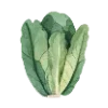 🥬 Эмодзи «Garden Tales» для Telegram