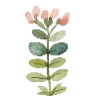 🌷 Эмодзи «Garden Tales» для Telegram