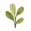 🌱 Эмодзи «Garden Tales» для Telegram