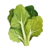 🥬 Эмодзи «Garden Tales» для Telegram