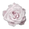 Эмодзи «ᶤ𝐆ꫀꪀ𝗍ᥣꫀ 𝐀ꪀꬶꫀᥣ𑂘» для Telegram