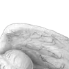 Эмодзи «ᶤ𝐆ꫀꪀ𝗍ᥣꫀ 𝐀ꪀꬶꫀᥣ𑂘» для Telegram