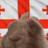 🇬🇪 Эмодзи «Georgia - эмодзи с флагами и вайбом Грузии» для Telegram