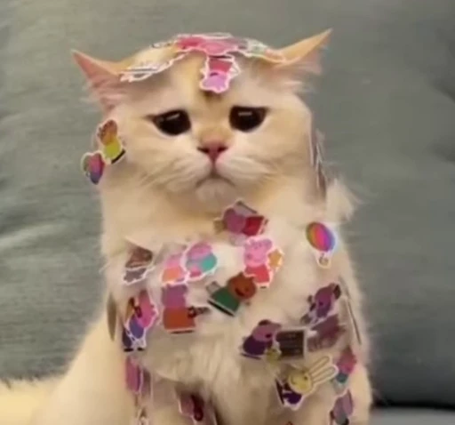 🐈 Стикер «Miomio» для Telegram