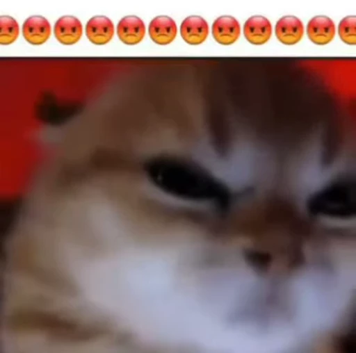 🐈 Стикер «Miomio» для Telegram